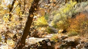 PICTURES/Bandelier - Falls Trail/t_First Fall9.JPG